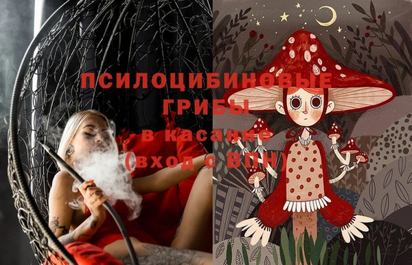PSILOCYBIN Балабаново