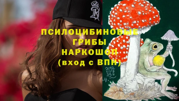 PSILOCYBIN Балабаново