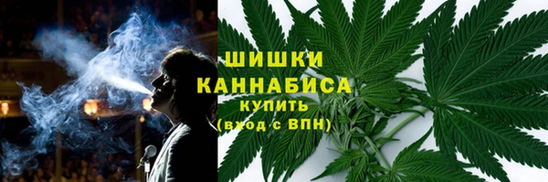 PSILOCYBIN Балабаново