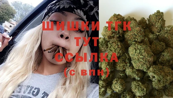 PSILOCYBIN Балабаново