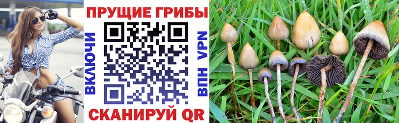 Псилоцибиновые грибы GOLDEN TEACHER  Городище 