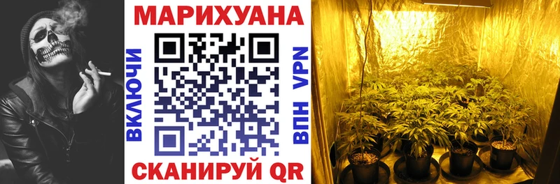 Бошки марихуана планчик Городище